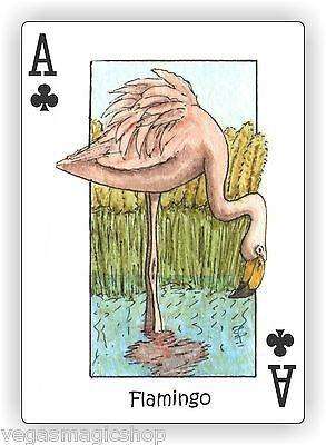 Wild Playing Cards Hidden Seek-N-Find Animals Deck - Image 4
