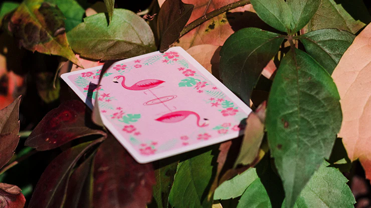 Wild Marked Playing Cards Cartamundi - Image 6