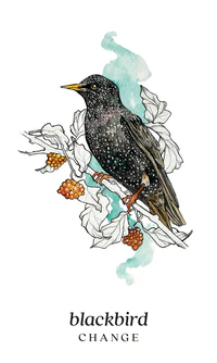 Winterseer Animal Oracle Cards Llewellyn - Image 2