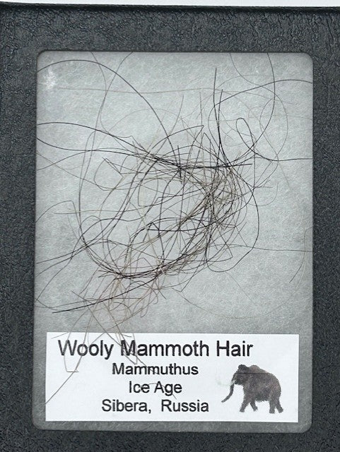 Wooly Mammoth Hair - Image 3