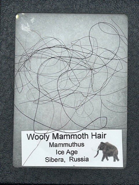 Wooly Mammoth Hair - Image 3